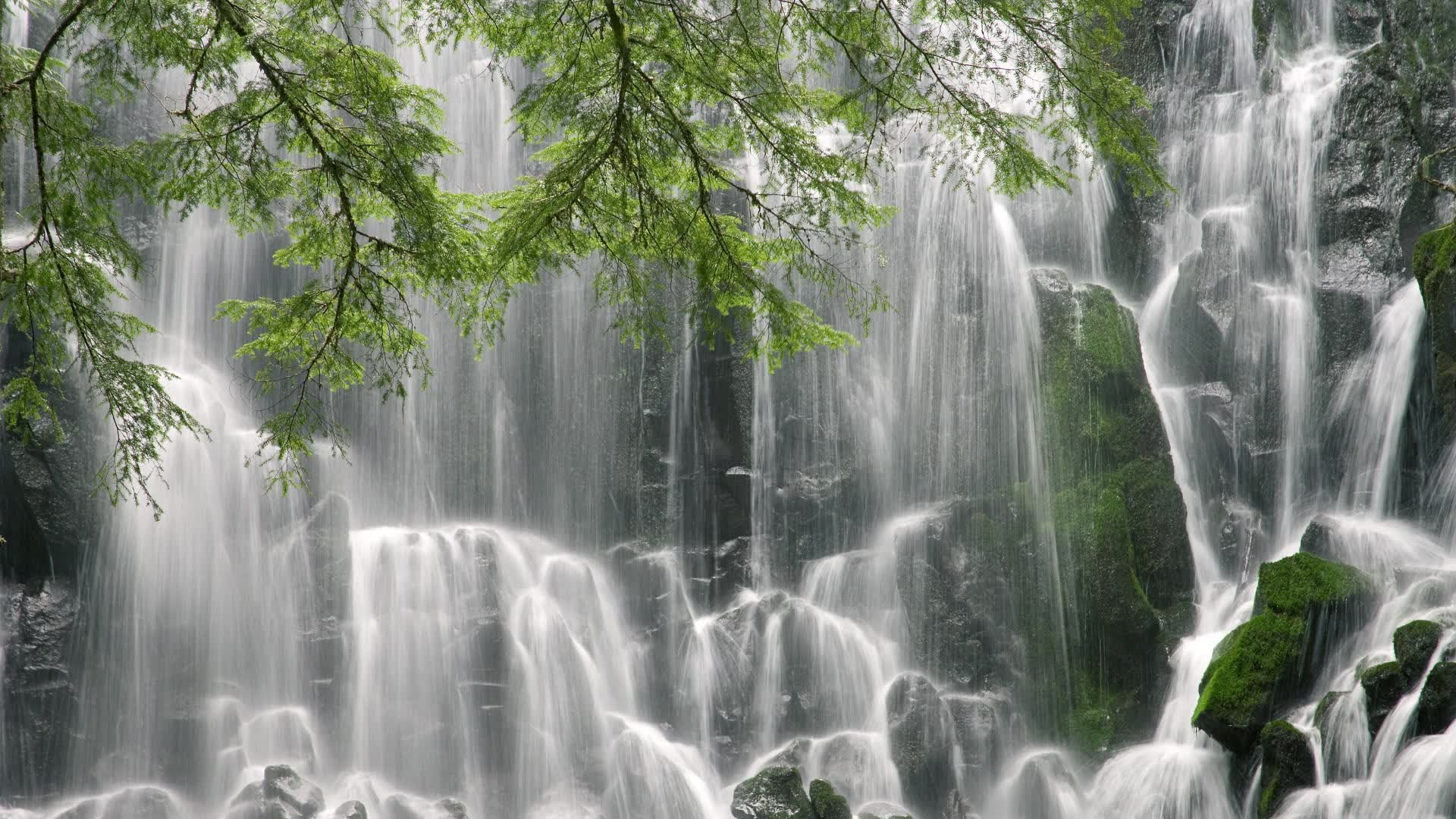 世界举重线上训练对话：跨国教练共享备战经验，举重世界锦标赛
